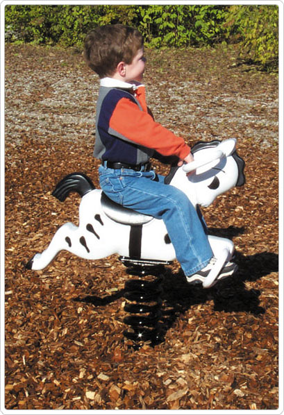 Zebra Spring Rider