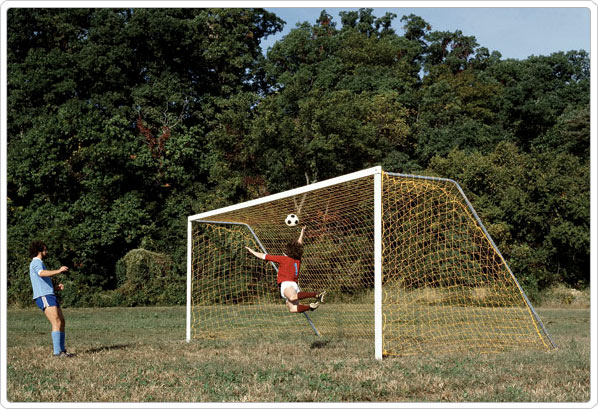 Official Steel Soccer Goal (pair)